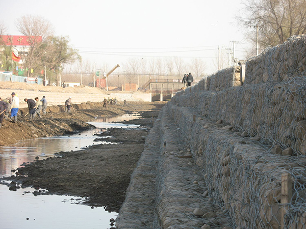 塞克格宾网图片3