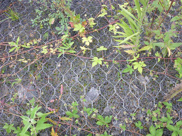 加筋麦克垫图片4