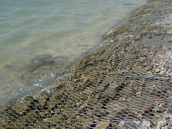 格宾网工程案例图片3