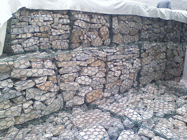 塞克格宾网图片4